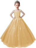Lace Applique Tulle Pageant Gowns for Girls Ball Gown Flower Girl Dress Princess Toddler Kids Prom Pageant   Dress