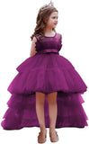 High Low Tulle Pageant Gown Tiered Flower Girl Dress Layered Ball Gown Kids Birthday Party Dress princess dress
