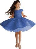 Tutu Festzugskleider Pailletten Blumenmädchenkleid Kurzes Prinzessinnenkleid Ballkleid Blumenmädchenkleider für Hochzeiten 