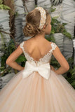 Flower Girl Dress for Weeding Tulle Pageant Dress Lace Appliques Princess Long Ball Gowns for Girls girls dresses for wedding