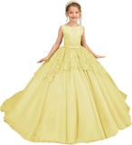 Tüll-Blumenmädchenkleid für Hochzeit, Spitzenapplikationen, bestickt, Prinzessin, Kinderfestzug, Geburtstagsparty, Festzugskleider für Mädchen 