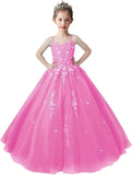 Lace Applique Tulle Pageant Gowns for Girls Ball Gown Flower Girl Dress Princess Toddler Kids Prom Pageant   Dress