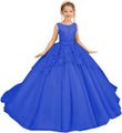 Tüll-Blumenmädchenkleid für Hochzeit, Spitzenapplikationen, bestickt, Prinzessin, Kinderfestzug, Geburtstagsparty, Festzugskleider für Mädchen 