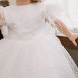 Party Birthday Holy Communion Gowns Flower Girl Dresses White Tulle Wave Point Skirt With Bow Feather Sleeve For Wedding