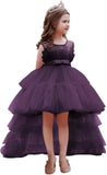 High Low Tulle Pageant Gown Tiered Flower Girl Dress Layered Ball Gown Kids Birthday Party Dress princess dress