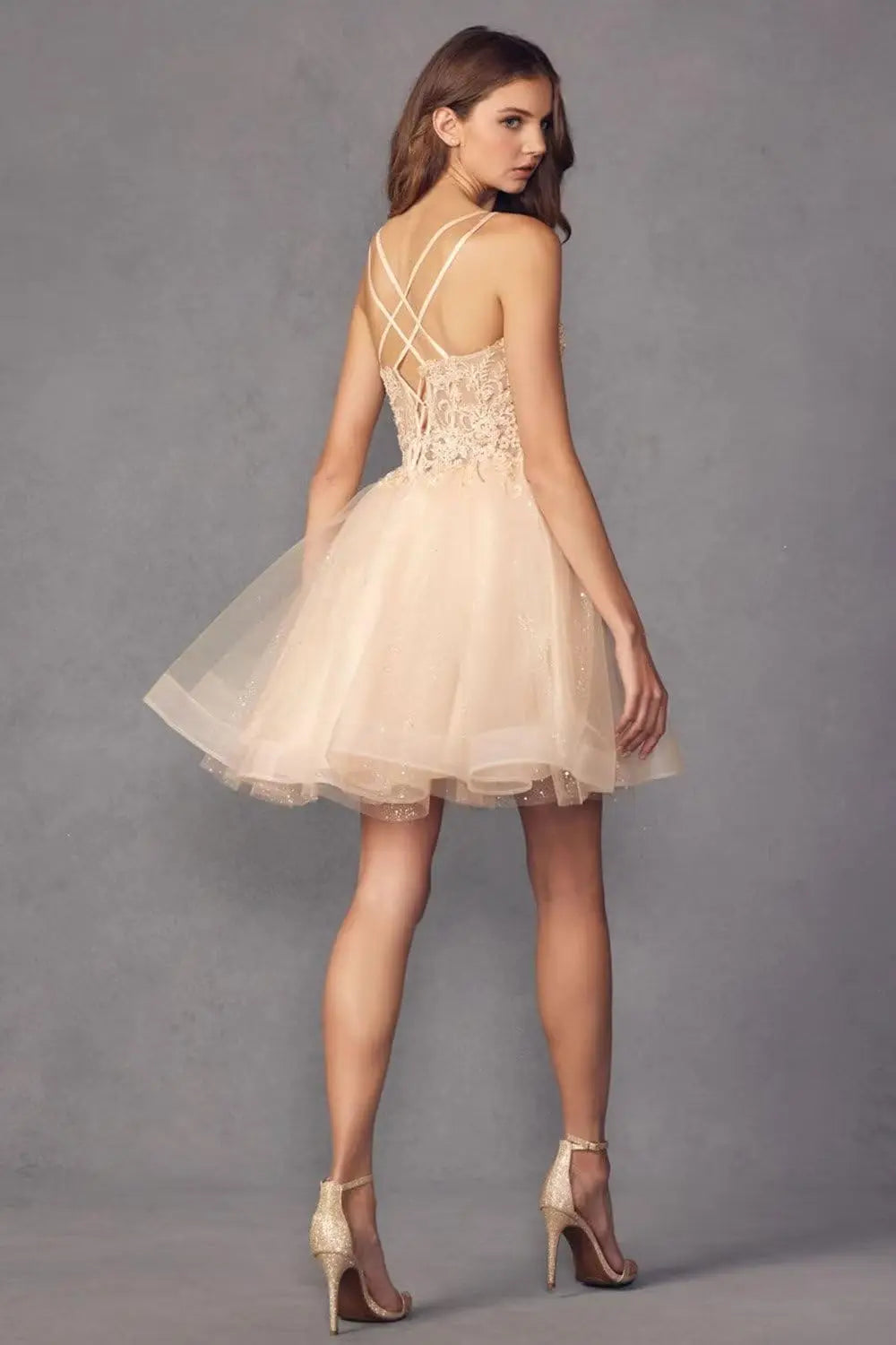 Kurzes Homecoming-Kleid mit Spitzenapplikationen aus Tüll für Teenager mit Spaghettiträgern, Cocktail-, Abschlussball- und Partykleider 