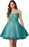 Kurzes Homecoming-Kleid mit Spitzenapplikationen aus Tüll für Teenager mit Spaghettiträgern, Cocktail-, Abschlussball- und Partykleider 