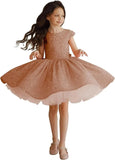 Vestido de desfile para niña, vestido de lentejuelas para niña de flores, tutú corto de tul, vestido de princesa, vestido de desfile para boda, vestido de princesa 