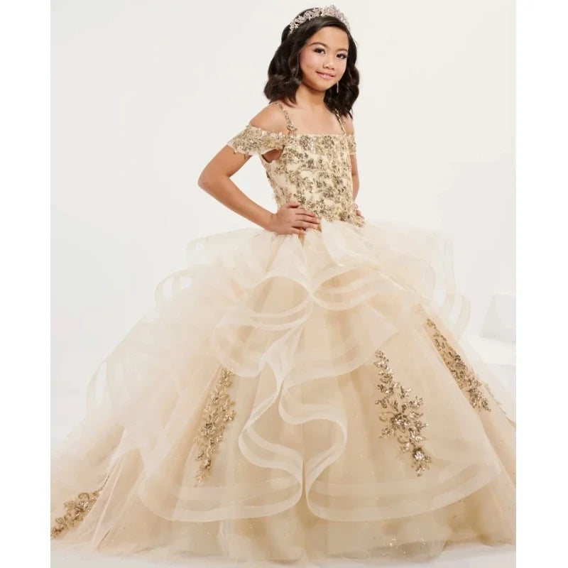 Vestidos de princesa sin mangas para bodas, fiestas de cumpleaños, banquetes, vestidos de niña de las flores, tul azul cielo, apliques florales plateados escalonados 