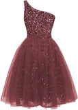One Shoulder Sequin Homecoming Dresses Short Tulle Prom Dresses for Women A Line Princess Formal Cocktail Gown Gowns