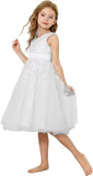Lace Flower Girl Dresses for Wedding Kids Puffy Tulle Communion Dress Pageant Party Prom Ball Gowns with Bow Knot