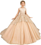 Tüll-Blumenmädchenkleid für Hochzeit, Spitzenapplikationen, bestickt, Prinzessin, Kinderfestzug, Geburtstagsparty, Festzugskleider für Mädchen 
