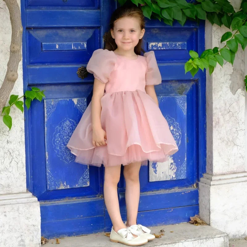 Pink Satin Tulle Puffy With Bow Short Sleeve For Wedding Birthday Holy Communion Banquet Princess Gowns Flower Girl Dresses