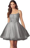 Kurzes Homecoming-Kleid mit Spitzenapplikationen aus Tüll für Teenager mit Spaghettiträgern, Cocktail-, Abschlussball- und Partykleider 