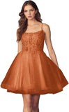 Kurzes Homecoming-Kleid mit Spitzenapplikationen aus Tüll für Teenager mit Spaghettiträgern, Cocktail-, Abschlussball- und Partykleider 