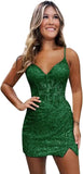 Sparkly Sequin Homecoming Dresses for Teens Short Tight Appliques Mini Formal Prom Cocktail Gown 2025 Wedding Party Dresses