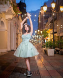 3D Butterfly Short Homecoming Dresses Sparkly Tulle Prom Dress Teens Off Shoulder DAMA Dresses for Quinceanera