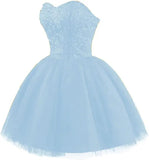 Strapless Short Tulle Homecoming Dresses for Teens Lace Prom Dresses for Women Beaded A Line Party Cocktail Dresses