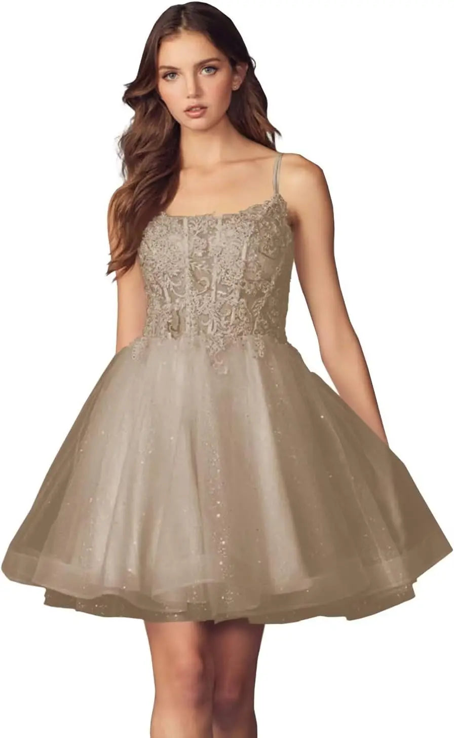 Kurzes Homecoming-Kleid mit Spitzenapplikationen aus Tüll für Teenager mit Spaghettiträgern, Cocktail-, Abschlussball- und Partykleider 