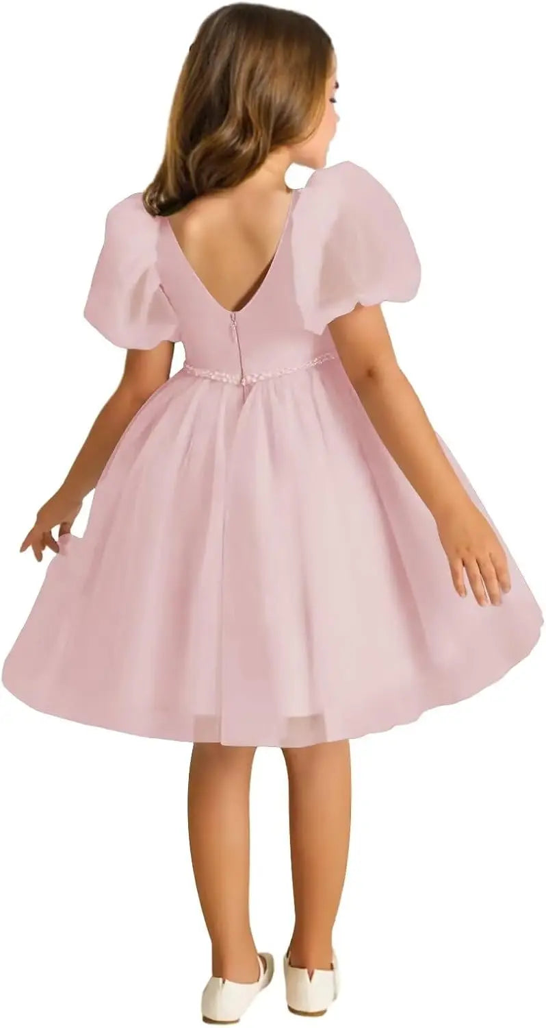 Vestidos de verano para niñas, de malla transpirable, largos, para bodas, con mangas, de princesa. 