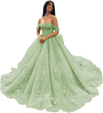 3D Floral Quinceanera Dresses Lace Beaded Party Gowns Off Shoudler Tulle Ball Gown for Sweet 15 16 Dresses