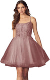 Kurzes Homecoming-Kleid mit Spitzenapplikationen aus Tüll für Teenager mit Spaghettiträgern, Cocktail-, Abschlussball- und Partykleider 