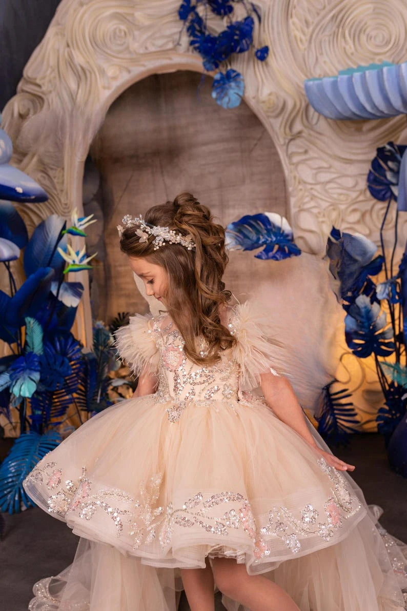 Flower girl Tulle Lace dress Cappucino First communion dress Junior bridesmaid dresses princess girls party ball gown