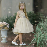 Kleinkinderkleider Spitze Blumenmädchenkleider Tüll rustikales Blumenmädchenkleid Besonderer Anlass Babykleid Champagner Blumenmädchenkleid 
