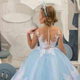 Floor Length Customized First Communion Dresses Birthday Ball Gowns Light Blue Flower Girls Dresses For Weddings Lace Appliques