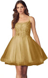 Kurzes Homecoming-Kleid mit Spitzenapplikationen aus Tüll für Teenager mit Spaghettiträgern, Cocktail-, Abschlussball- und Partykleider 