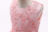 Little/Big Girls Lace Bridesmaid Dress Flower Kid Wedding Ball Gown Toddler Princess Pageant Evening Dresses princess dress
