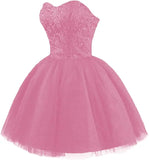 Strapless Short Tulle Homecoming Dresses for Teens Lace Prom Dresses for Women Beaded A Line Party Cocktail Dresses