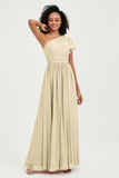 One Shoulder Flutter Sleeves Chiffon Bridesmaid Dress Plus Size Formal Evening Dresses