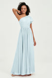 One Shoulder Flutter Sleeves Chiffon Bridesmaid Dress Plus Size Formal Evening Dresses