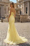 Mermaid Sweetheart Tulle Lace Prom Dress