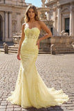 Mermaid Sweetheart Tulle Lace Prom Dress
