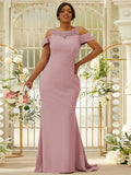 Sheath/Column Stretch Crepe Lace Scoop Sleeveless Sweep/Brush Train Bridesmaid Dresses Evening Dress