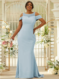 Sheath/Column Stretch Crepe Lace Scoop Sleeveless Sweep/Brush Train Bridesmaid Dresses Evening Dress