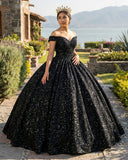 Quinceanera Dress Black Ball Gown Quinceanera Dresses Off Shoulder