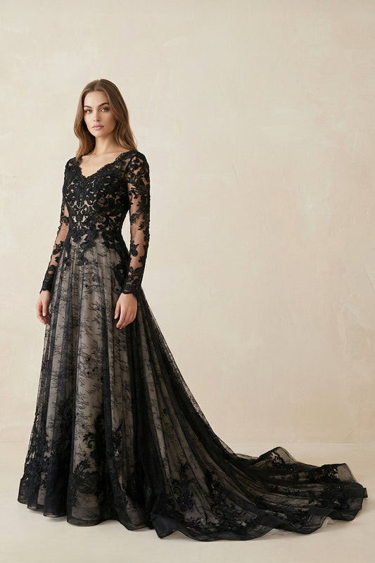 Modern Gothic Boho Lace Black Wedding Dress Vintage Unique A-Line Long Sleeve Bridal Gown with Court Train