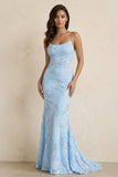 Sky Blue Spaghetti Straps Mermaid Tulle Long Prom Dresses With Appliques
