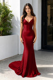 Purple Spaghetti Straps Lace-Up Mermaid Long Formal Dress