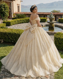 Glitter Off The Shoulder Beading Tulle Long Quinceanera Dresses