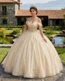 Glitter Off The Shoulder Beading Tulle Long Quinceanera Dresses