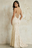 Sky Blue Spaghetti Straps Mermaid Tulle Long Prom Dresses With Appliques