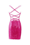 Bodycon V Neck Blue Sequins Mini Party Dresses