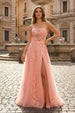 Coral Pink