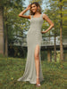 Dolphin Grey