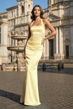 Sky Blue Halter Satin Mermaid Open Back Long Formal Prom Dresses