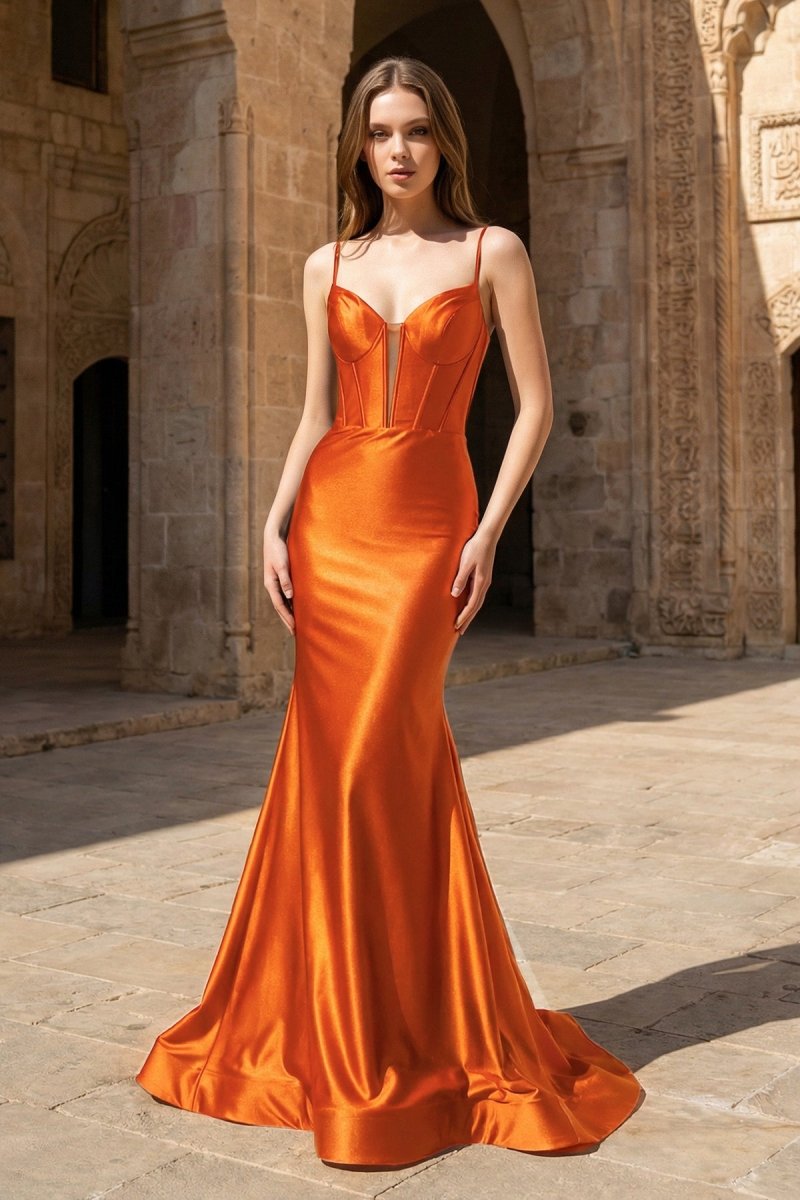 Plunge Neck Black Satin Mermaid Long Prom Dress